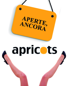 Apricots_spagna