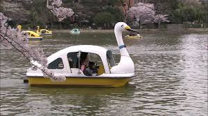 Pattino orribile.jpeg