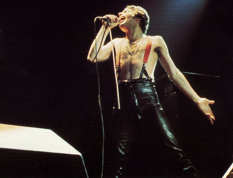 Freddie bretelle.jpeg