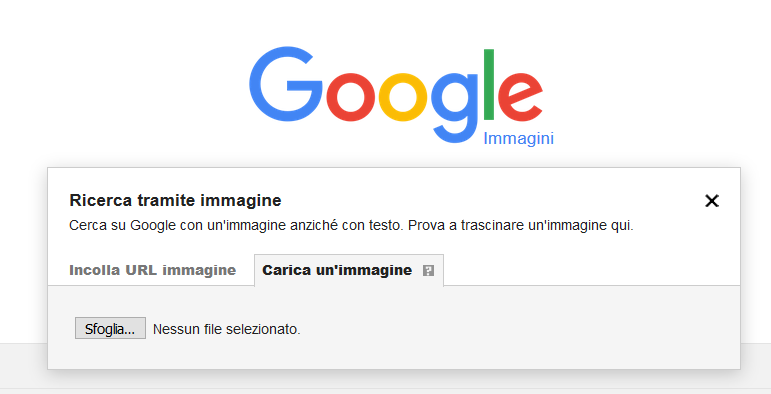 Immagine 1.png