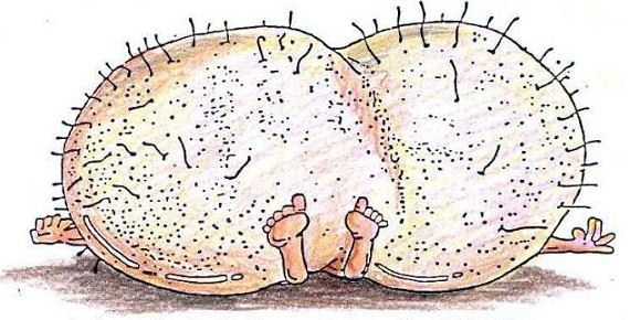 abboffamento di guallera.jpg