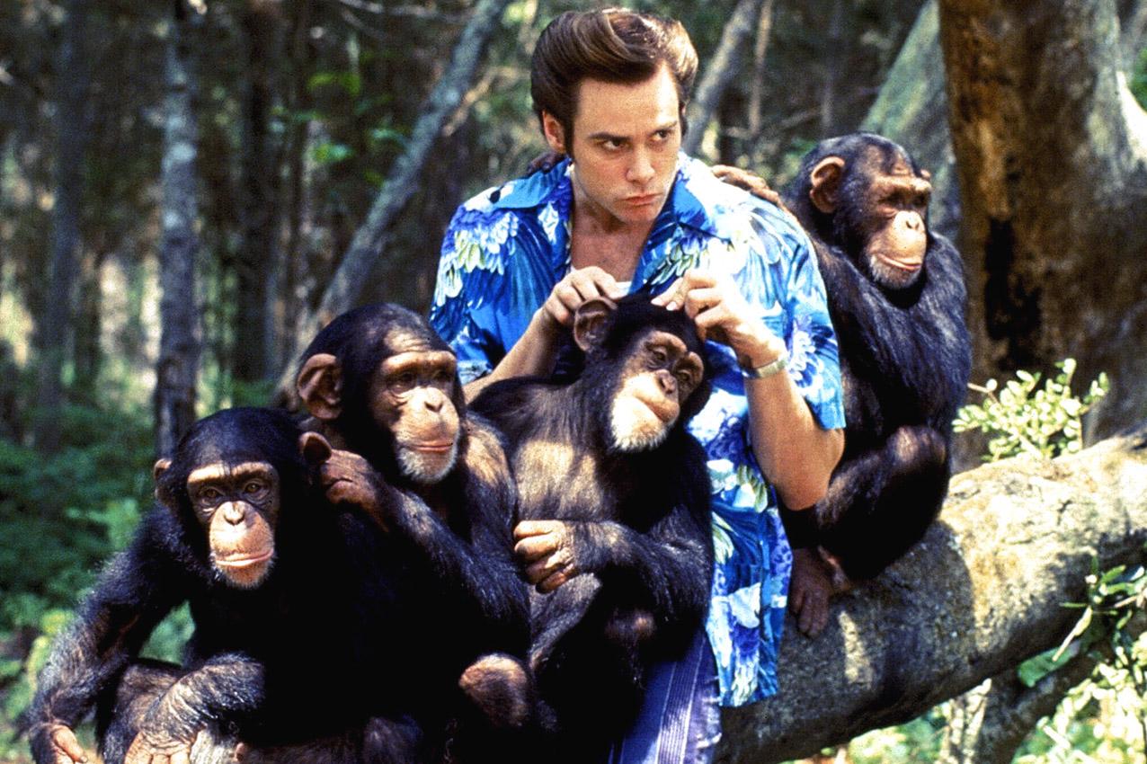 Ace-Ventura-When-Nature-Calls-Warner-Bros-Everett-060515-1276x850.jpg
