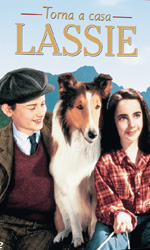 lassie_imm.jpg