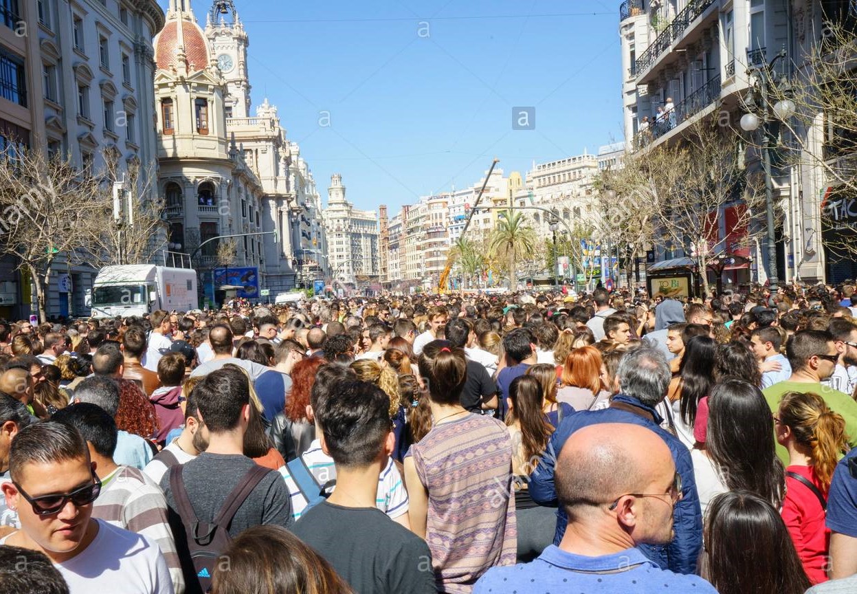 by alianterus.jpg.jpg