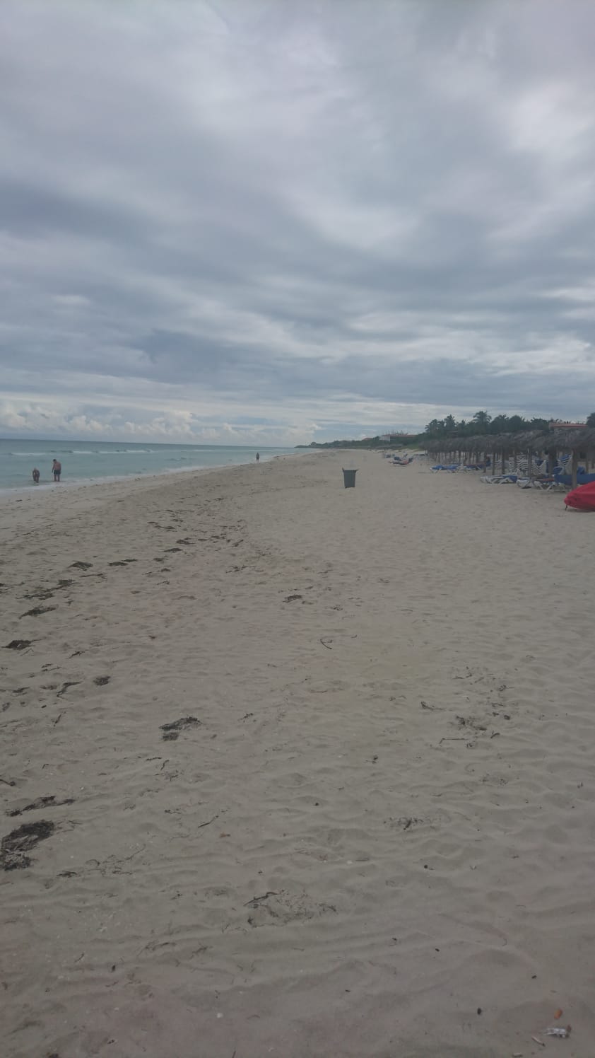 WhatsApp Image 2019-10-09 at 22.07.02.jpeg