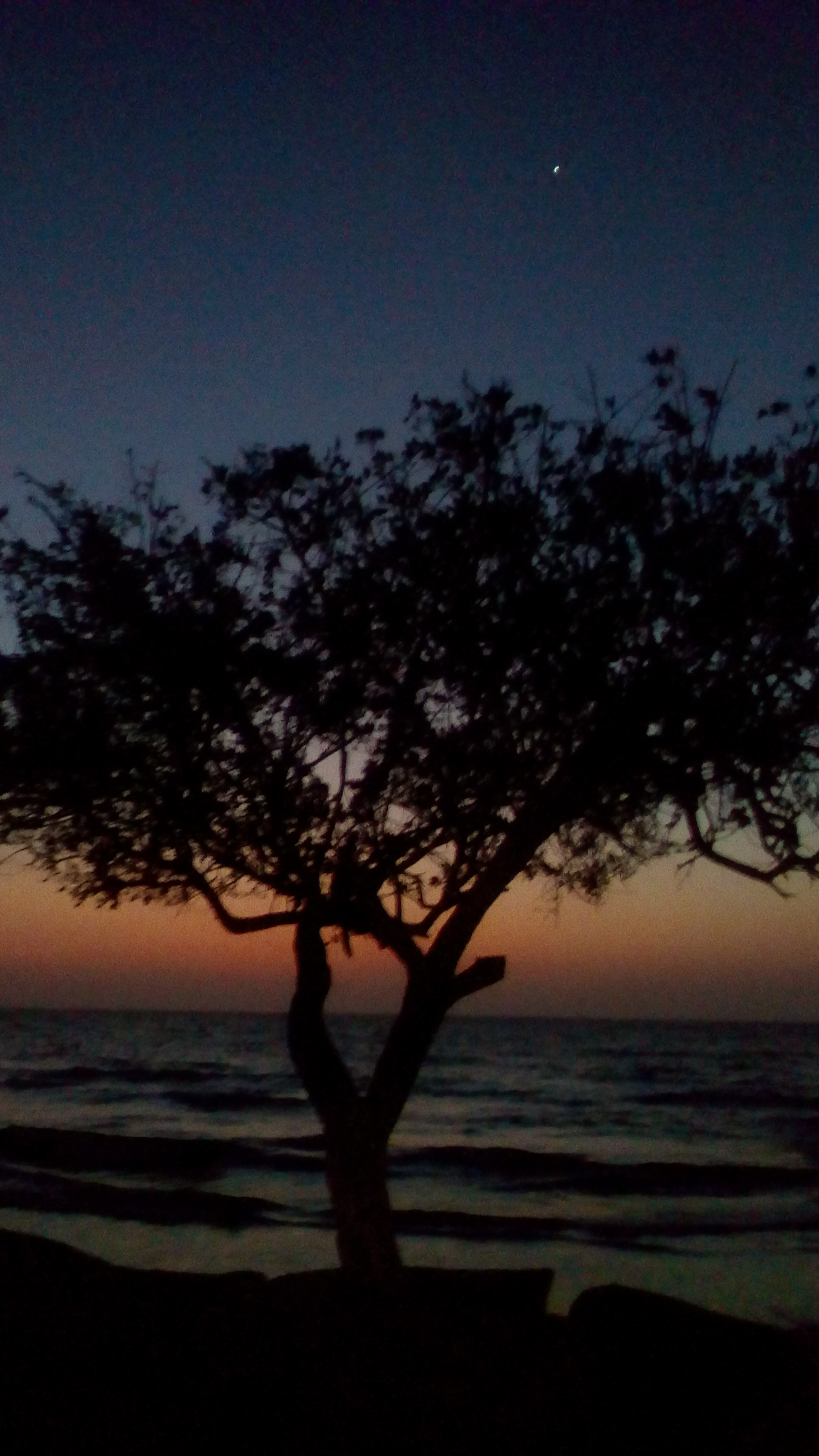 IMG_20200218_183710 - Copia.jpg