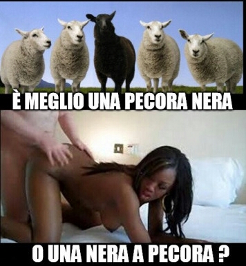 0n08ozfavw-i-grandi-dilemmi-meglio-una-pecora-nera-o-una-nera-a-pecora_a-1.jpg