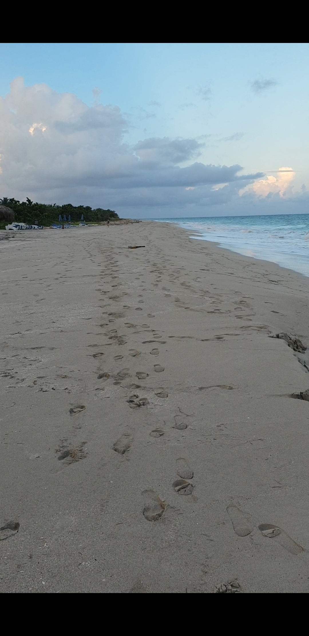 Screenshot_20190120-102441_Video Player.jpg