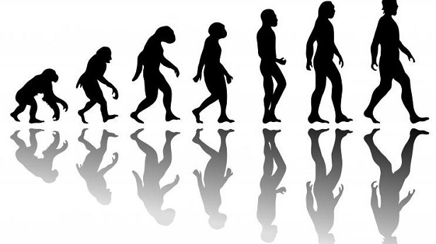 evoluzione-della-specie-1.jpg
