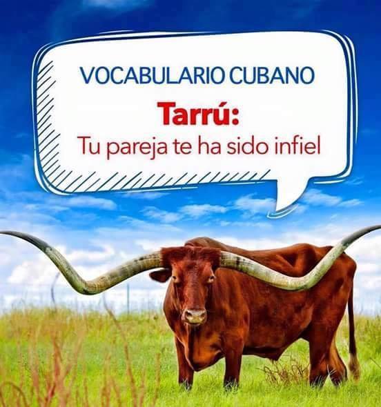 64368182_343496603007649_9040327849323528192_n copia 2.jpg